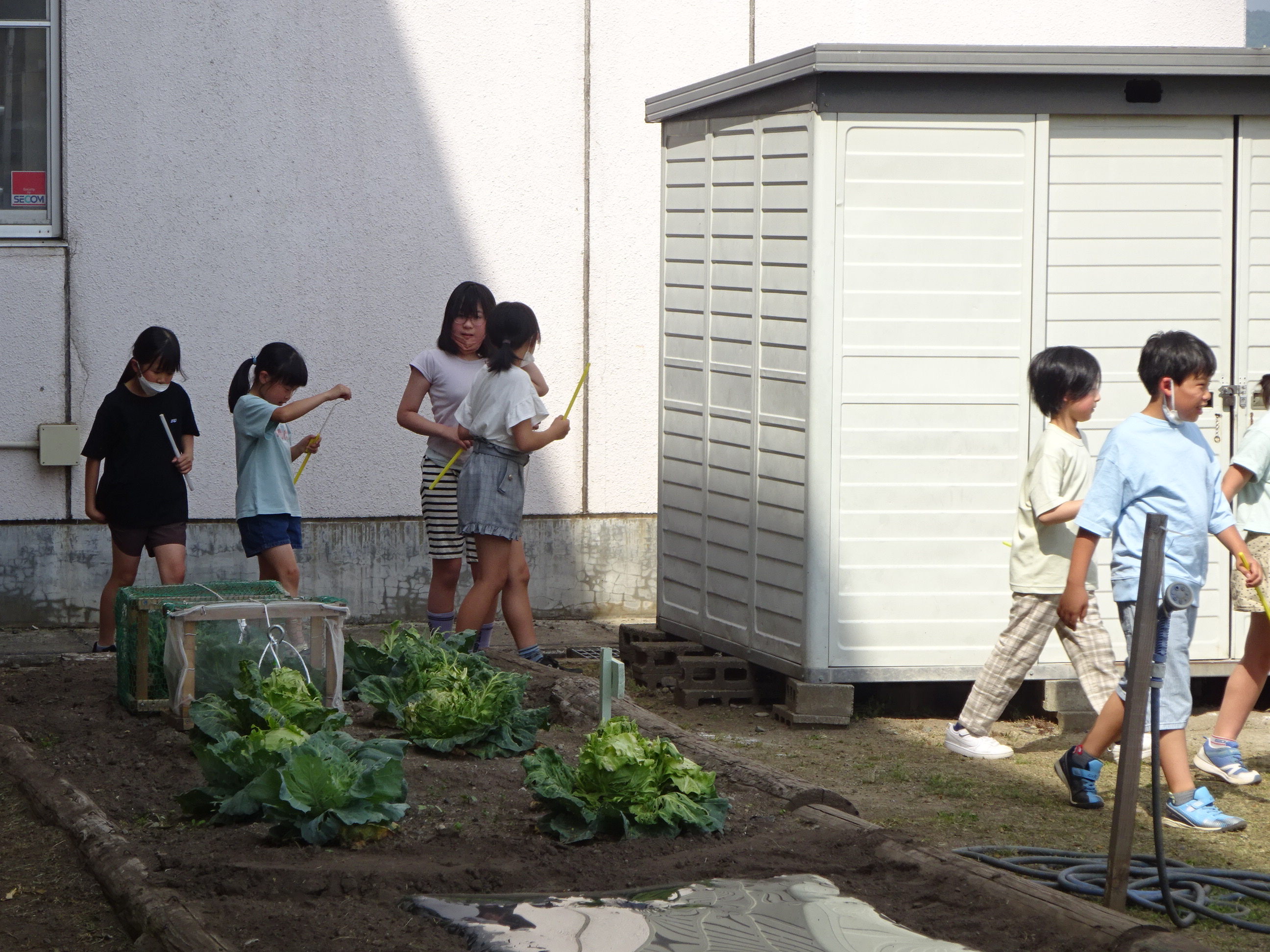 理科の観察 | 会津若松プラス