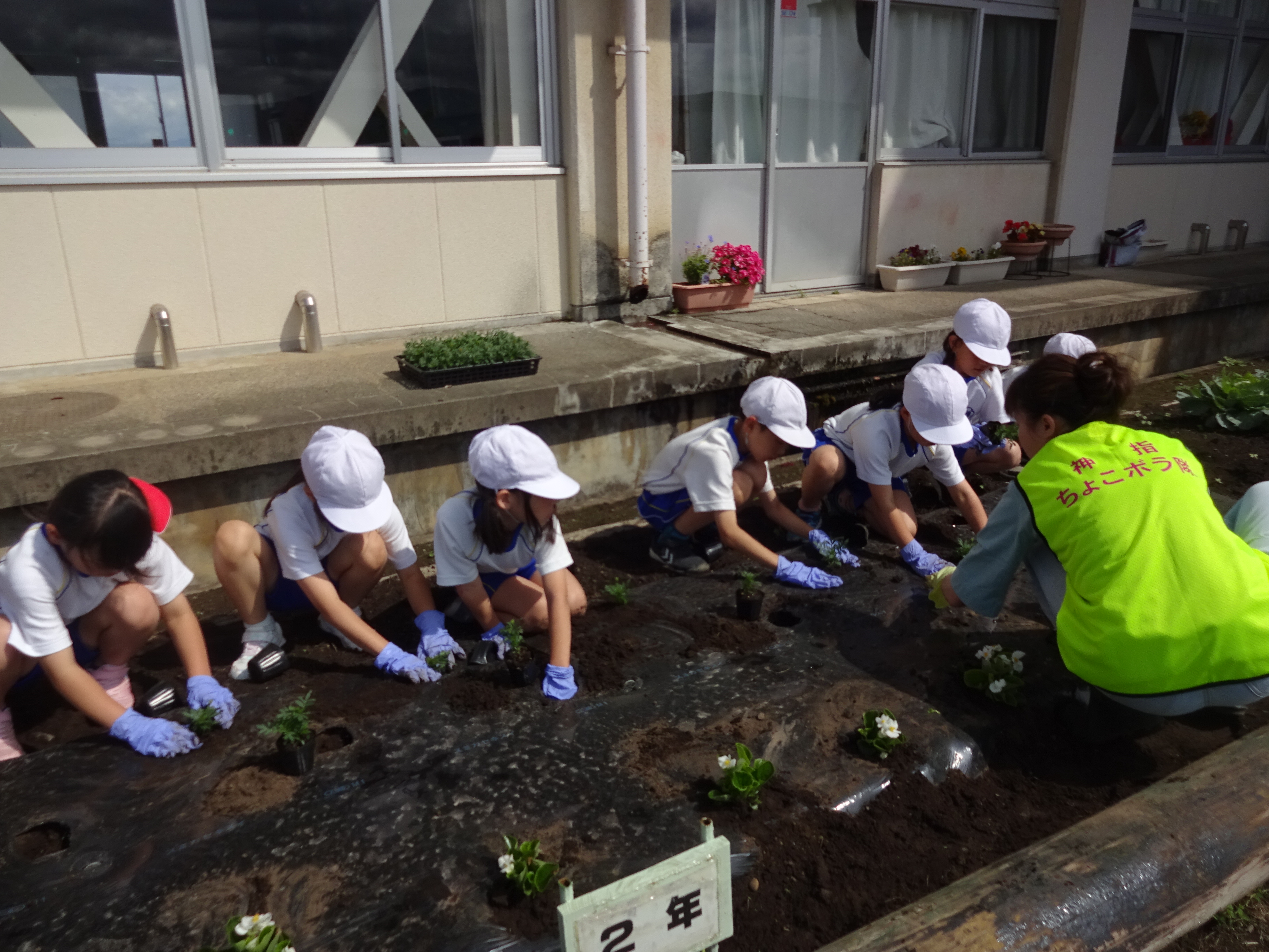 ちょこボラ隊（花の苗植え） | 会津若松プラス