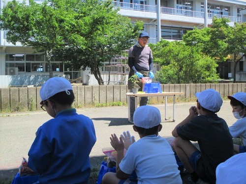 ２年生、ミニトマトの苗を植えました！ | 会津若松プラス