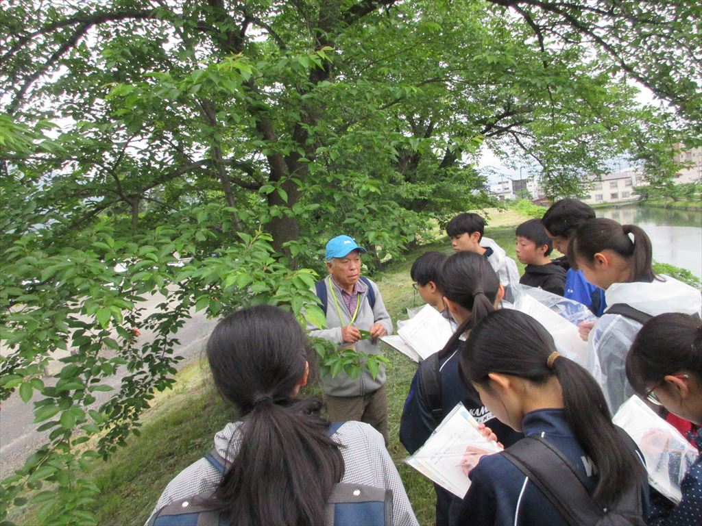 内科検診　中学校 トピックス | 潮来市立牛堀中学校公式ホームページ