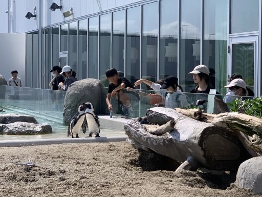 修学旅行㉑（総集編） | 会津若松プラス