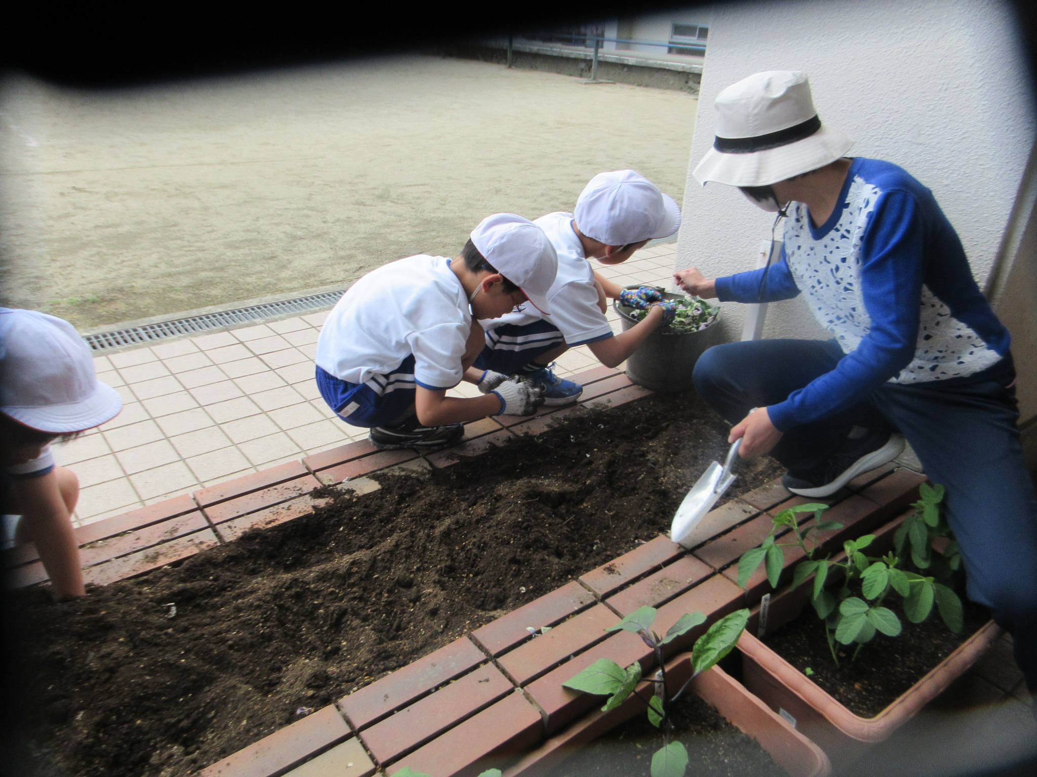 花壇整備（2年生） | 会津若松プラス